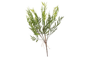 artificial-willow-40.