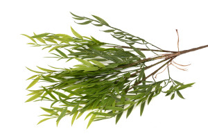 artificial-willow-40