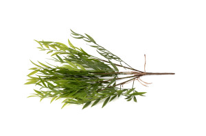 artificial-willow-40.