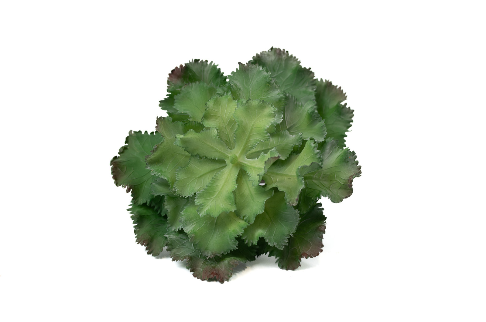 crassula-kuenstliche-sukkulente-pick-40