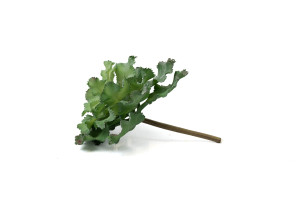 crassula-artificial-succulent-pick-40.