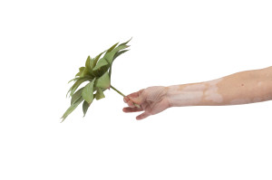 kuenstlicher-echeveria-sukkulenten-pick-40.