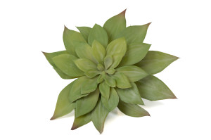 echeveria-succulente-artificielle-piquet-40