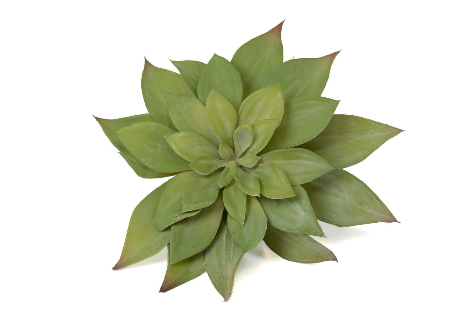 artificial-echeveria-succulent-pick-40