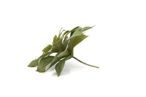 artificial-echeveria-succulent-pick-40.