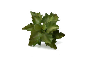kalanchoe-succulente-artificielle-piquet-40