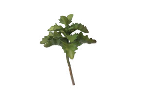 kalanchoe-succulente-artificielle-piquet-40.