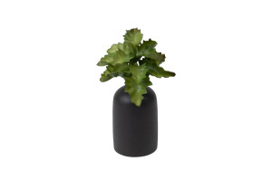 kalanchoe-kuenstliche-sukkulenten-steckstecker-40.