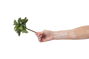 kalanchoe-artificial-succulent-pick-40.