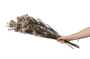 preserved-diosmirice-flower-8.