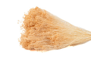 dried-broom-8.