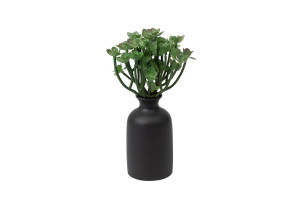 succulente-1-artificielle-piquet-40.