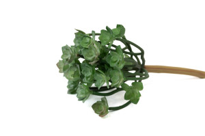 succulente-1-artificielle-piquet-40.