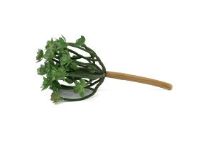 succulente-1-artificielle-piquet-40.