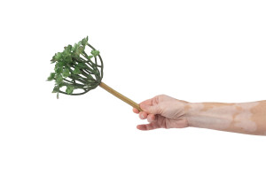 succulente-1-artificielle-piquet-40.