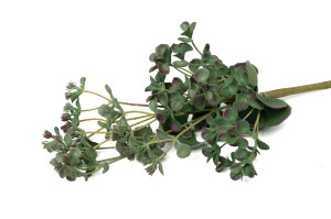 succulente-2-artificielle-piquet-40