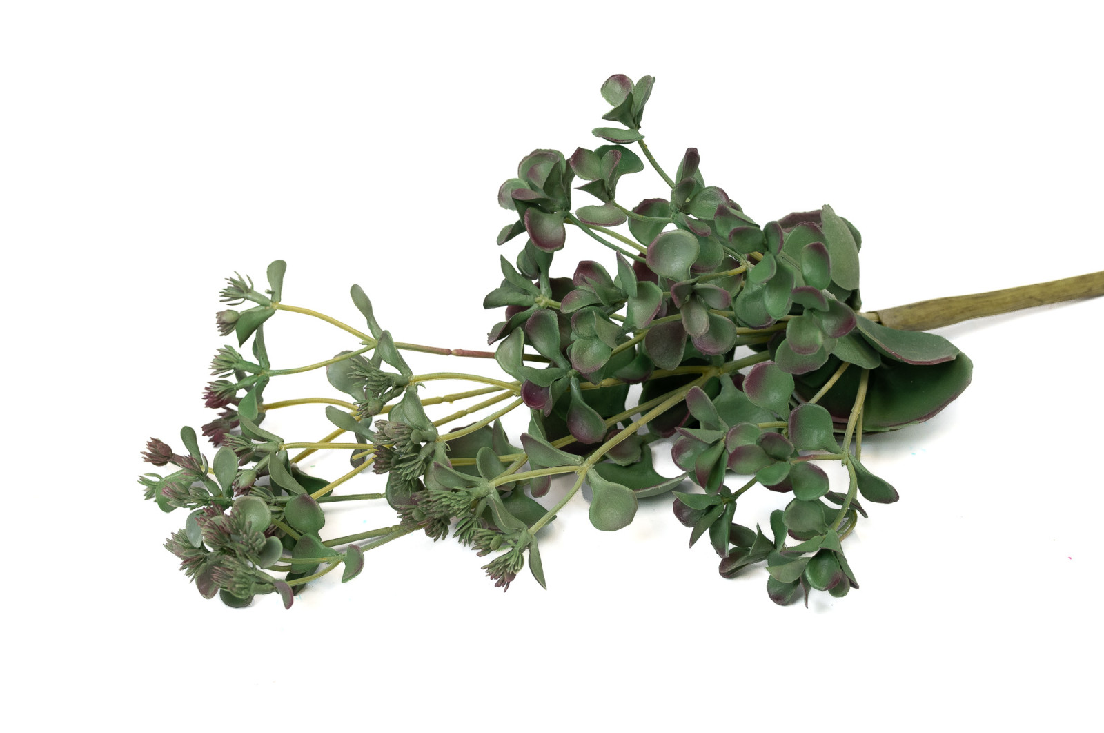 succulent-2-artificial-pick-40