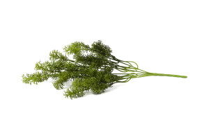 mousse-artificielle-piquet-40.