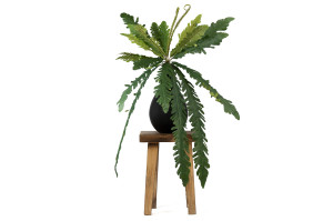 artificial-xxl-fern-pick-40.