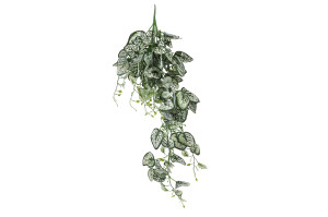 kuenstliche-fittonia-haengepflanze-40.