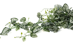 artificial-fittonia-hanging-40