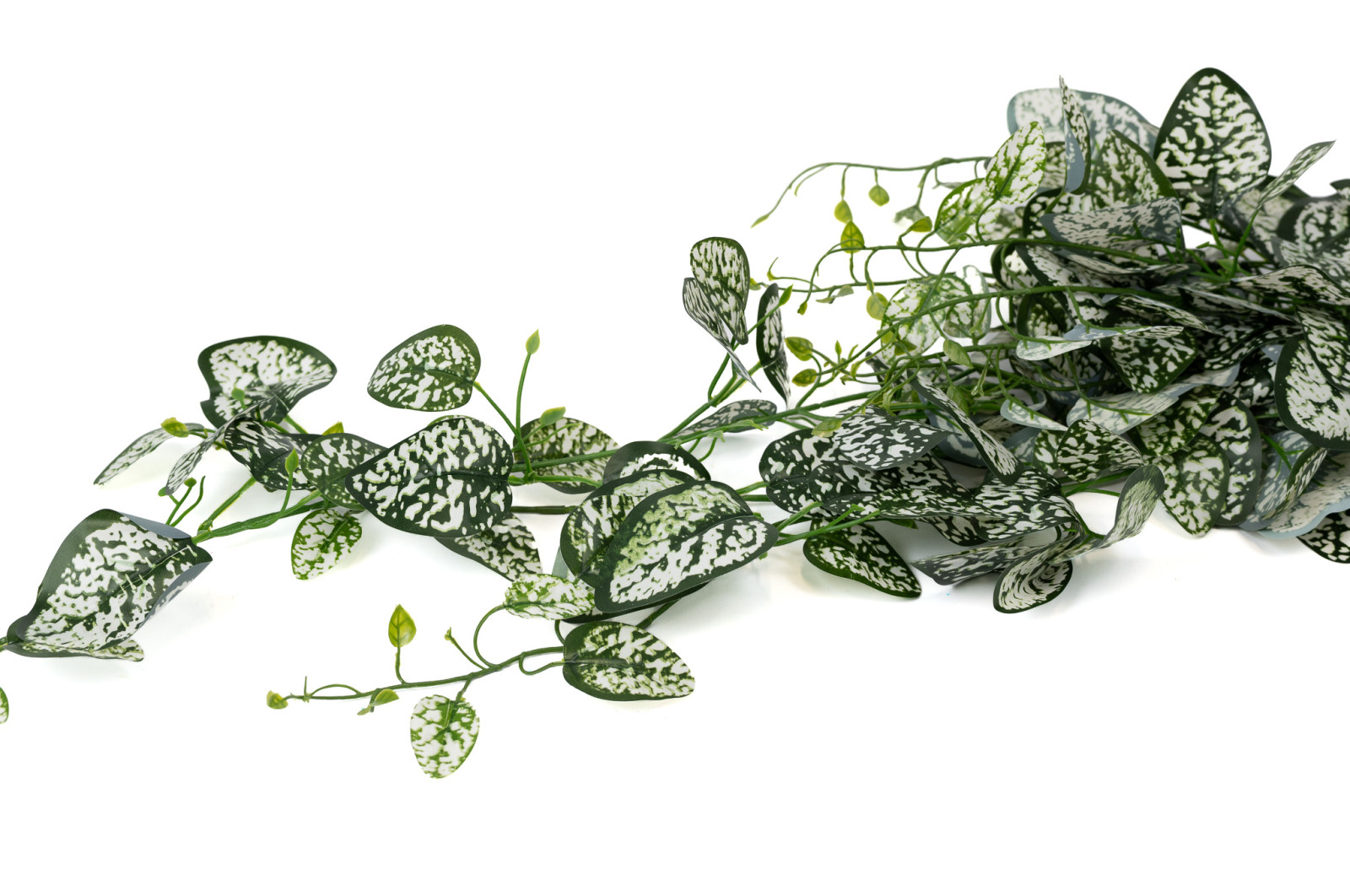 artificial-fittonia-hanging-40