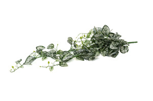 kuenstliche-fittonia-haengepflanze-40.