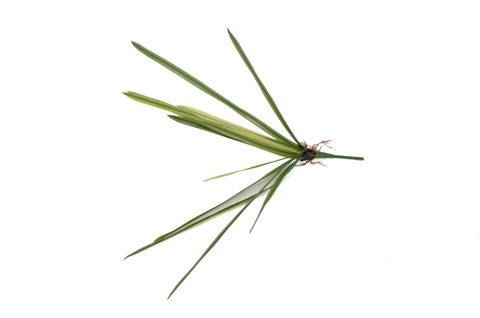 feuilles-dorchidee-artificielles-piquet-40