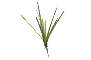 artificial-orchid-leaves-pick-40.