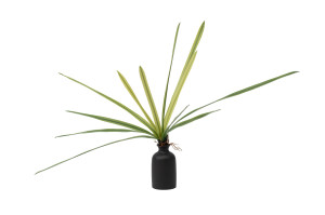 artificial-orchid-leaves-pick-40.