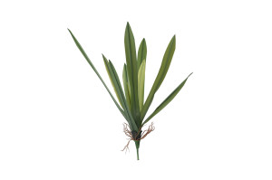 kuenstliche-orchideenblaetter-pick-40.