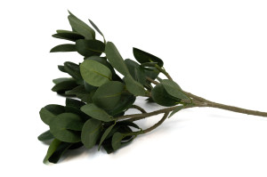 artificial-ficus-panda-41.