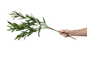 artificial-uv-olive-tree-41.