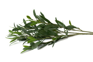 artificial-uv-olive-tree-41.