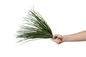 artificial-lady-grass-uvfire-resistant-pick-41.