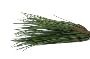 kuenstliches-lady-gras-uvfeuerbestaendig-steckform-41.