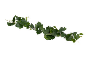 artificial-vine-garland-41.