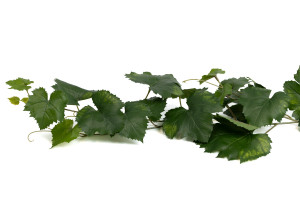 vigne-artificielle-guirlande-41