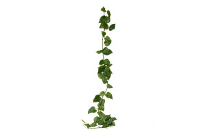artificial-pothos-garland-41.