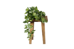 pothos-mini-artificiel-chute-41.