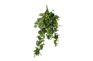 pothos-mini-artificiel-chute-41.