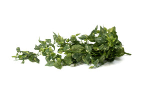 mini-artificial-pothos-hanging-41.