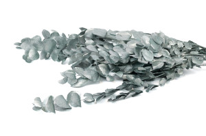 preserved-eucalyptus-espiral-8.