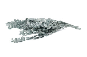 stabilisierte-eukalyptus-espiral-8.