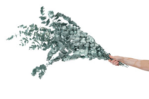 preserved-eucalyptus-espiral-8.