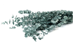 eucalyptus-espiral-stabilise-8