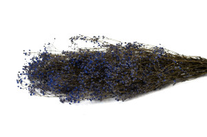 gypsophile-stabilise-8.