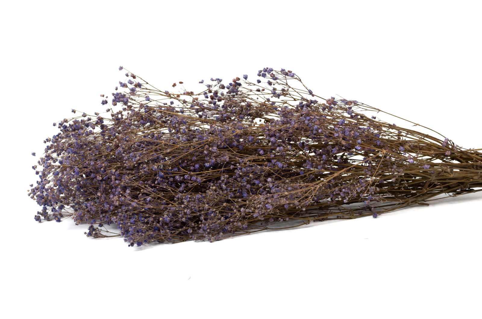 gypsophile-stabilise-8