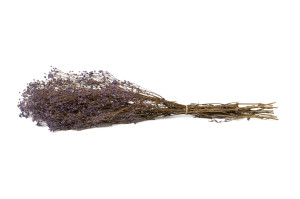 preserved-gypsophila-8.