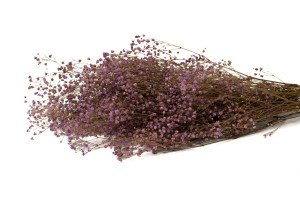 preserved-gypsophila-8.